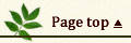 Page top